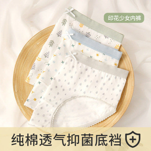 Pure cotton underwear for women, pastoral style, Japanese style, fresh, girly underwear, printed lace mid-waist women's briefs wholesale