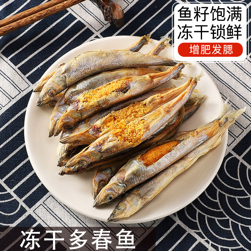 Full-seeded spring fish freeze-dried cat snacks, gills, fattening, calcium supplement, nutritious small fish dried kitten food, adult cat and dog supplies