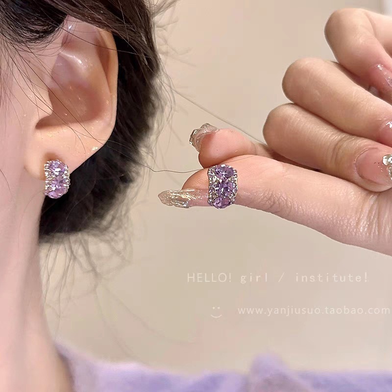Korean niche exquisite purple zircon earrings for women, new style earrings, light luxury, high-end and versatile earrings