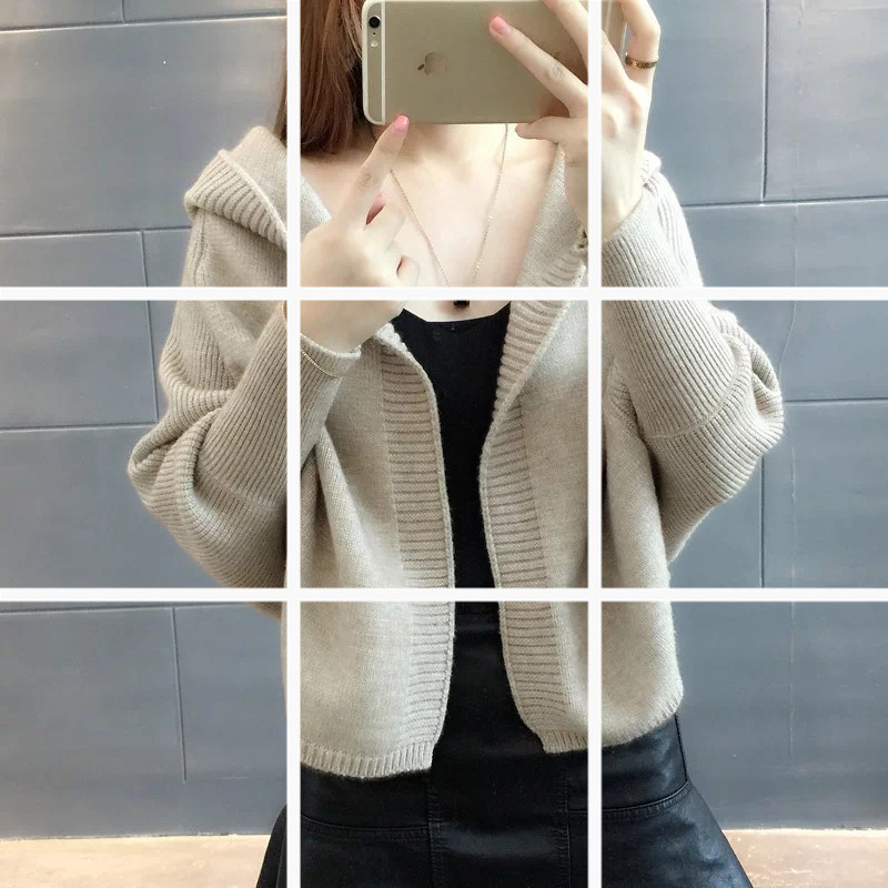 2024新款韓版潮外搭寬鬆秋裝女連帽針織衫女開衫短款外套女毛衣