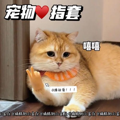 Cat Finger High Elasticity Cat Claw Mini Palm Scissor Gloves Tricky Funny Soft Toy