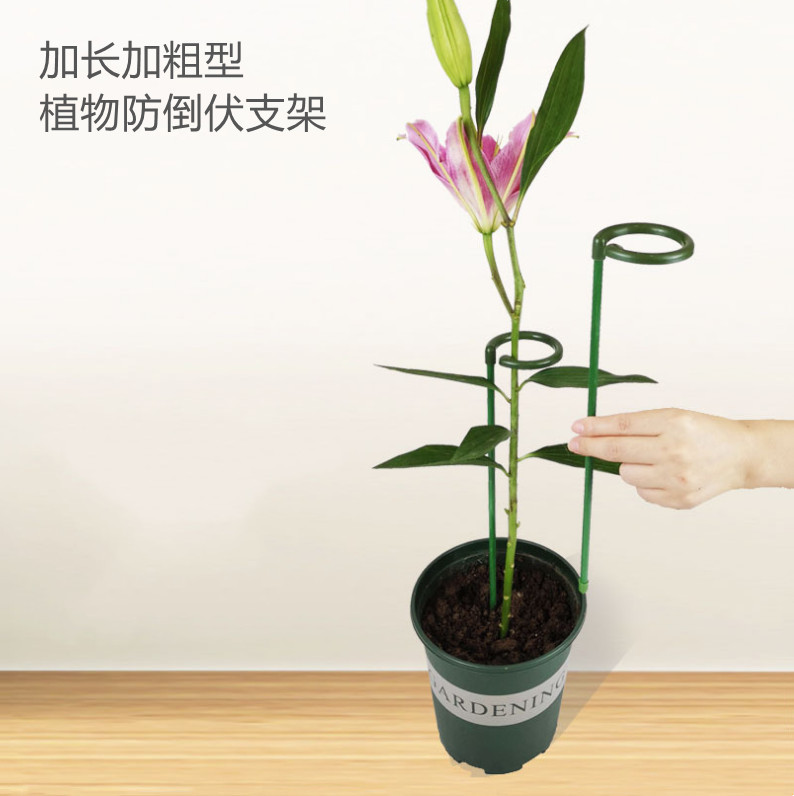 Plant stand gardening fixed frame outdoor flower shape support pole Phalaenopsis climbing vine anti-lodging leaf protection flower stand
