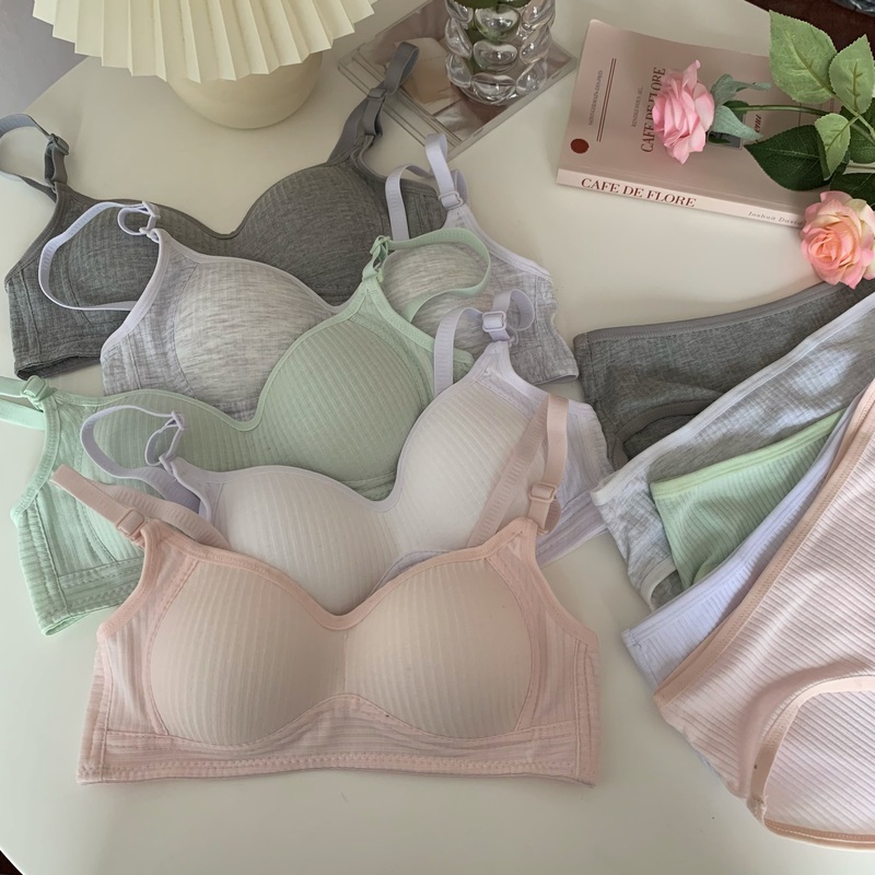 Korean style sexy non-wired French bra for women with small breasts push-up underwear bra