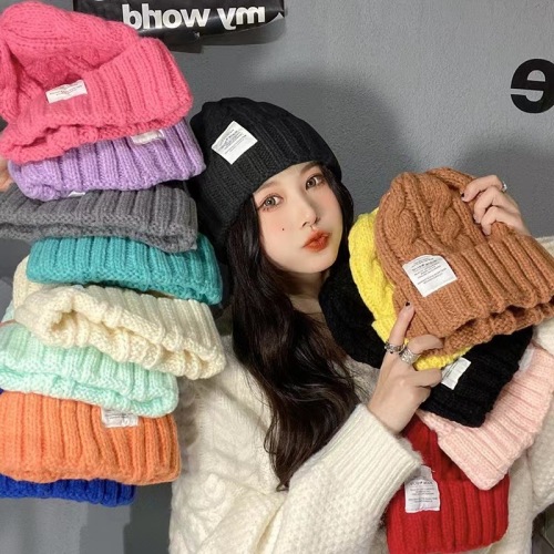 Japanese student hat women's autumn and winter high-looking ins thick knitted woolen hat versatile loose big head cold hat
