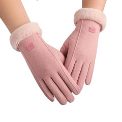 Warm gloves for women in autumn and winter, plus velvet for driving, outdoor riding, plus velvet for cold protection, winter touch screen gloves that can be shipped on behalf of others