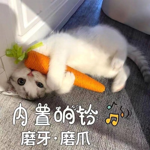 New cat toy carrot, bite-resistant teething stick toy with built-in bell, boredom-relieving kitten pet supplies