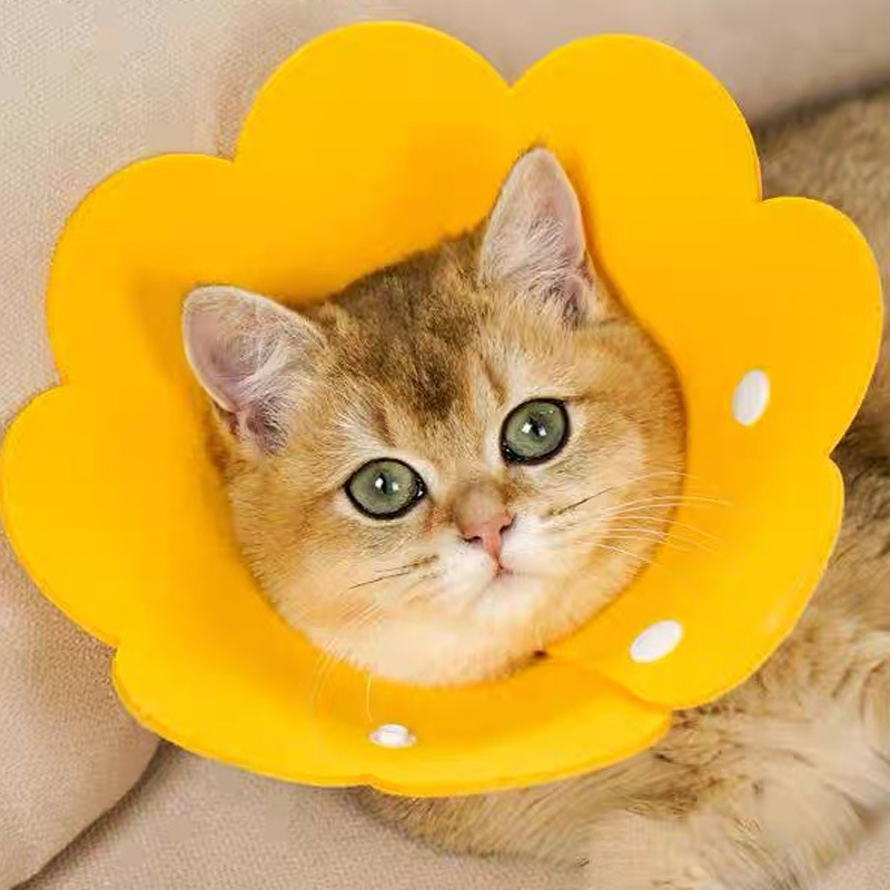 Elizabethan felt pet collar, thin, soft and lightweight, postoperative recovery, anti-licking, anti-biting, shame collar