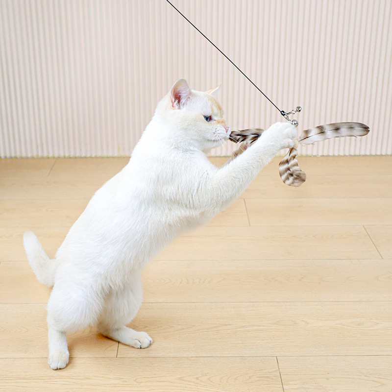 Cat Funny Stick Feather Cat Toy Solid Wood Handle Cat Toy Feather Funny Cat Stick Bell Sound Cat Toy Wholesale