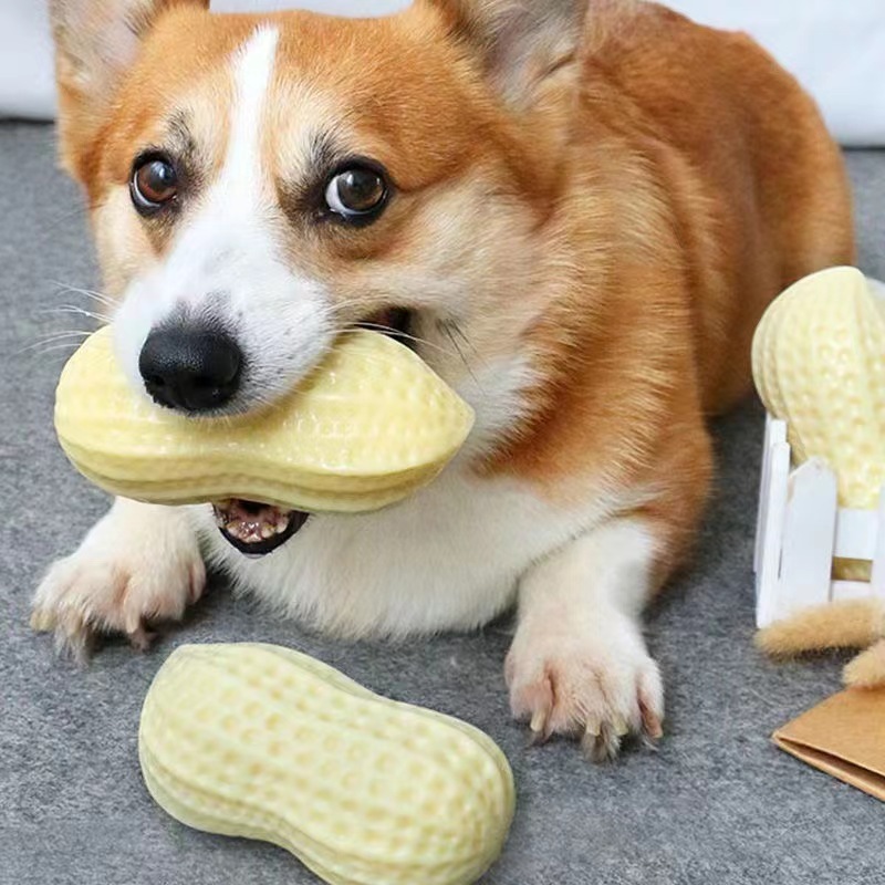 Pet toys, cat and dog toys, simulated peanut sound, milk scent, teething dog toys, shiny