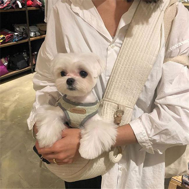 Cat Bag Pet Backpack Cat Travel Cat Backpack Shoulder Crossbody Korean New Pet Bag Pet Supplies