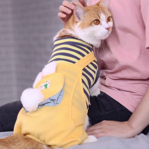 Kitten clothes, kitten four-legged trendy brand anti-shedding cat and pet warm and cute winter winter autumn and winter clothing