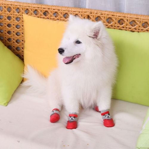 Pet waterproof soft rubber sole socks and shoes dog and cat socks anti-ski boots four-legged shoes and socks for outdoor sports