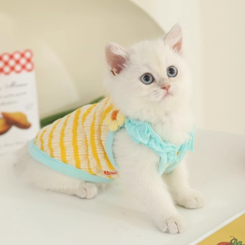 Cat clothes summer anti-shedding Ragdoll cat spring and autumn kitten summer sling kitten pet thin cat vest