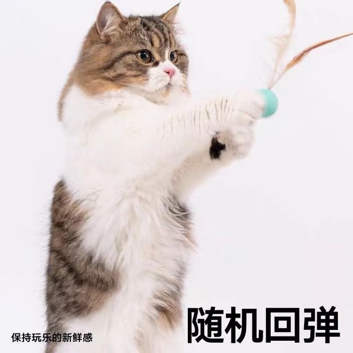 Pet supplies elastic ball high rebound cat chew toy with feather human pet interactive ball toy ball new