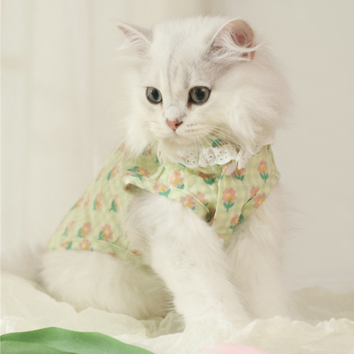 Summer thin anti-shedding summer kitten blue cat pet cat cute kitten summer vest cat clothes