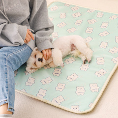 Pet electric blanket dog heating pad constant temperature anti-leakage small heating Teddy puppy electric mattress in winter