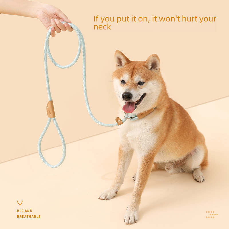 [Direct supply from super factory] Dog leash, medium and large dog chain collar, dog walking P chain, p rope pet supplies