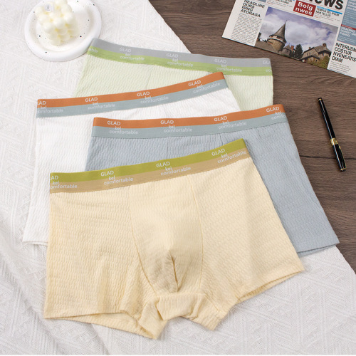 Men's underwear baby cotton comfortable and soft winter mid-waist young boys bubble cotton pure cotton boxer shorts shorts