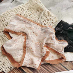 New Fashion #New fabric, elastic, hip-covering, lace, contrasting colors, sexy low-waisted underwear for women