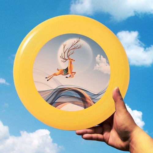 Cross-border 175g Ultimate Frisbee Sports Outdoor Professional Adult Youth Athletic Soft Slalom Competition Special Gift