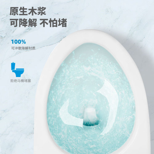 Large pack of wet toilet paper, biodegradable, adult and children's household private hygiene disposable special baby wipes wholesale