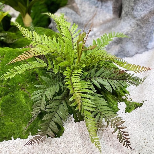 Simulated hand-feeling ferns, Persian grass, home wedding landscaping decoration, plant wall accessories, green plants