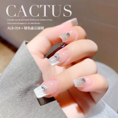 AS Red Bottle Crystal Cat's Eye Nail Polish Gel 2020 New Nail Polish Popular Color Internet Celebrity Model 9 Colors for Nail Art Shops