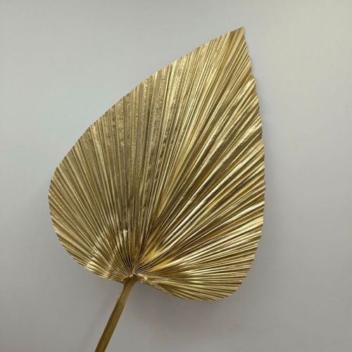 Palm leaves, gold and silver cattail fans, Guanyin fans, red fans, dried flowers, New Year's Eve flowers, DIY home decoration, wedding landscaping