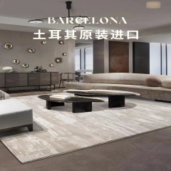 Turkish super soft environmentally friendly living room carpet Italian light luxury villa floor mat abstract beige simple bedroom bedside blanket