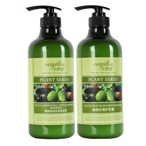 Amino acid Kaylin olive oil shampoo oil control fluffy women's and men's anti-dandruff and anti-itch official brand