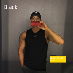 Men's Summer Mesh Sleeveless Vest Gym Running Equipment Training Muscle Showing Sports T-shirt Clothes