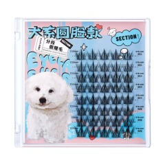 BQI canine type fox type natural segmented false eyelashes for round faces with dense single cluster upper eyelashes popular same style