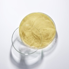 Centella Asiatica Fibronectin Gel Photoelectric Aftercare Repair Redness After Sun Sun Maintain Stabilizing Barrier Moisturizing Thick Skin Development Wholesale