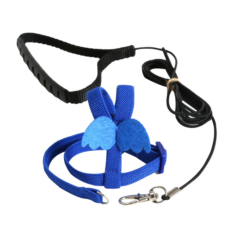 Cross-border Amazon Parrot Flight Rope
