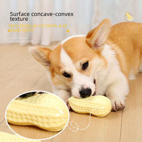 Pet dog vocal toy vinyl peanut relieve boredom artifact teeth grinding and bite-resistant Corgi Shiba Inu small dog toy