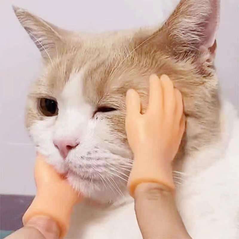 New Cat Finger Toy Funny Cat Finger Cover Funny Cat Toy Massage Little Hands Five Fingers