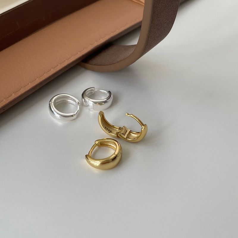 Cross-border hot-selling simple hoop earrings for women niche design personalized metal hoop earrings internet celebrity earrings earrings