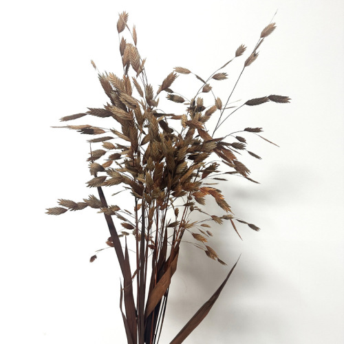 Everlasting flowers, small pandan grass dried flower materials, home decoration bouquet accessories, Yunnan manufacturers wholesale materials