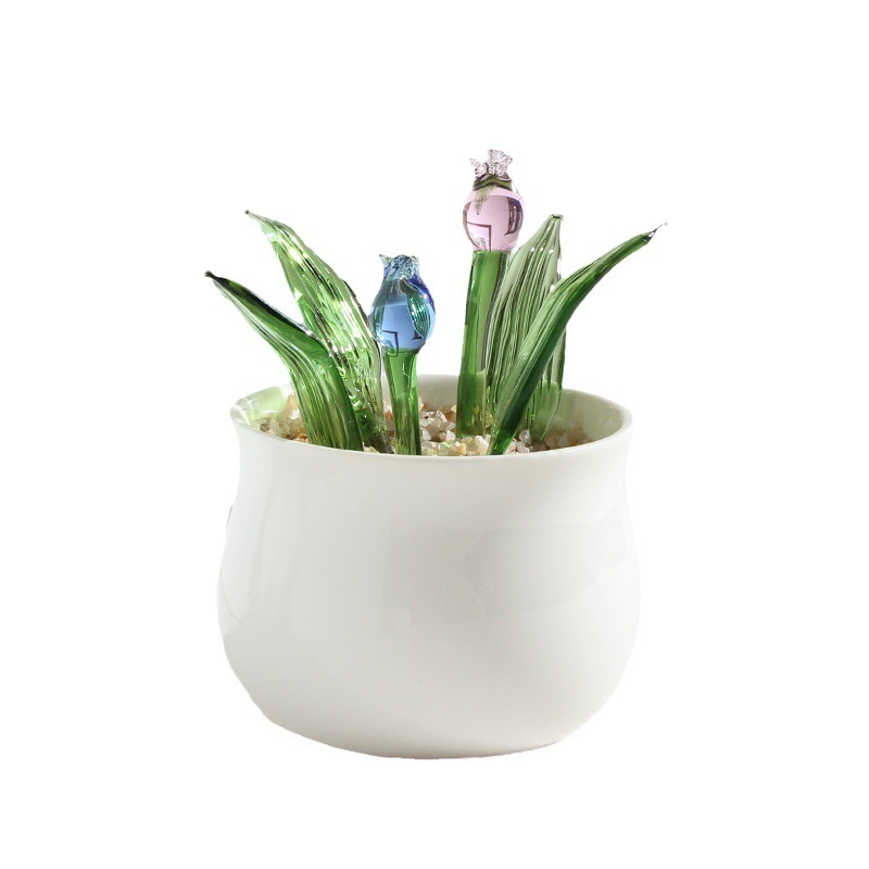 Cross-border wholesale glass trinkets, succulent cactus, bean sprouts, potted plants, office glass crafts, gifts