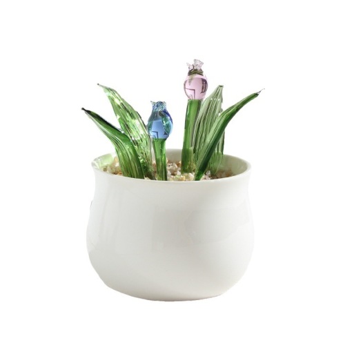 Cross-border wholesale glass trinkets, succulent cactus, bean sprouts, potted plants, office glass crafts, gifts