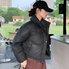 Korean style fashionable student warm and lightweight 2024 winter new style small stand-up collar short down jacket for women