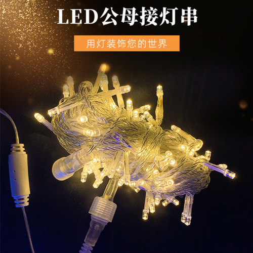 Source manufacturer led light string lights lanterns male and female plug light string wholesale baby's breath light string decoration holiday Christmas lights