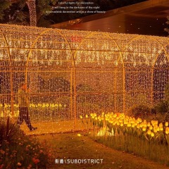 LED lanterns outdoor waterproof gypsophila string lights Christmas hanging lights shopping mall shop wedding flashing lights holiday decoration lights