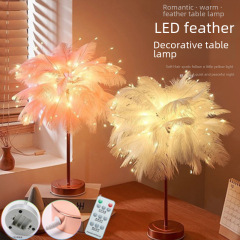 Internet celebrity light feather light table night light girl live broadcast atmosphere light bedroom room decoration light romantic birthday light
