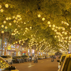 LED Spring Festival lighting takraw ball lamp outdoor waterproof ball lanterns starry sky engineering tree pendant holiday lanterns