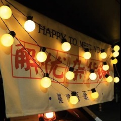 LED light outdoor bubble garden light string light waterproof garden villa decoration night market stall star light string flashing light