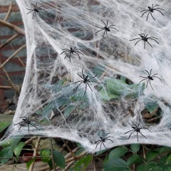 Halloween decoration spider cotton spider web