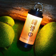 New portable camping light LED atmosphere hanging light multi-functional outdoor camp light camping tent light