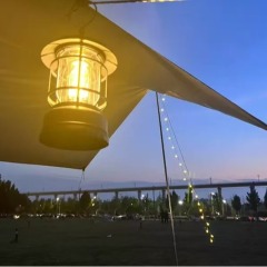 Outdoor lighting camping light 80H battery life atmosphere light tent canopy flashlight LED retro pine cone camping light