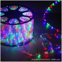 Outdoor LED lighting project light strips hotel holiday decoration neon lights LED rainbow tube round two-line light string wholesale